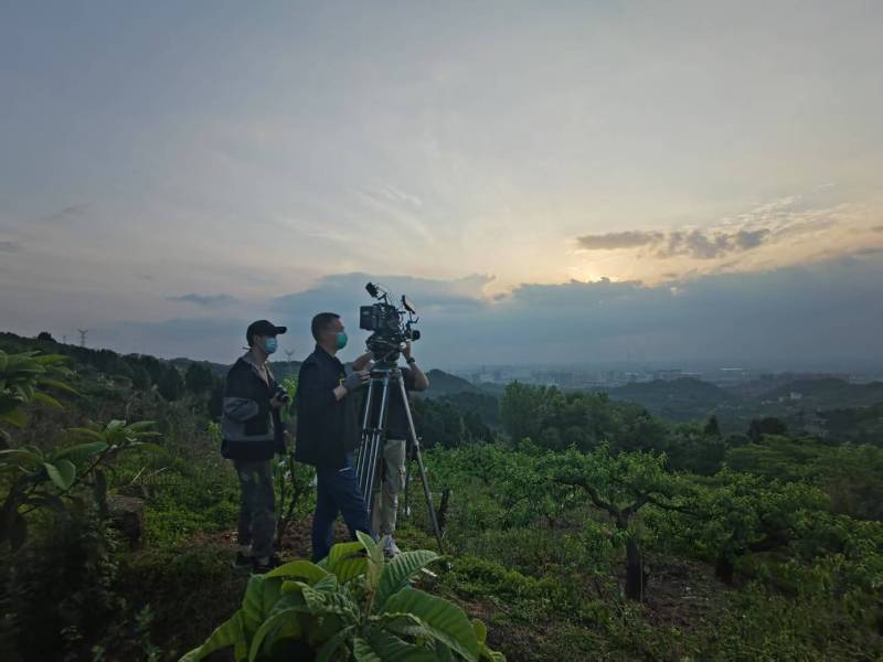 创意破圈！萧山区电商产品宣传视频用故事化叙事引爆流量