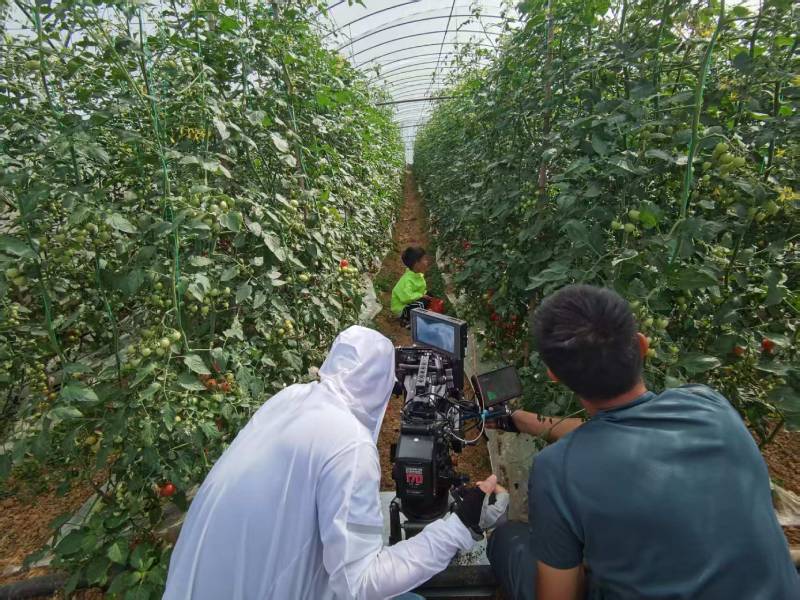 萧山区产品宣传视频拍摄公司进阶指南，助力品牌抢占传播高地